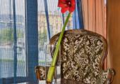 3-x ��������� ����� Apartment
